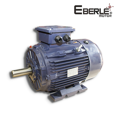 motor-eberle